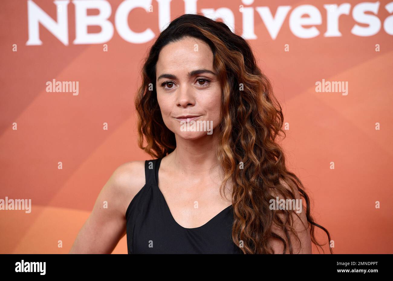 Alice Braga, a cast member in the USA series 