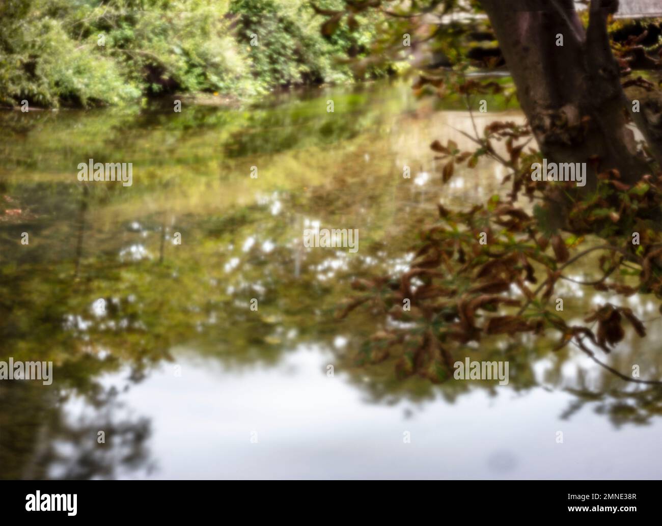 Serene Stretch: All-Hours Long Sleeve Top main image 0
