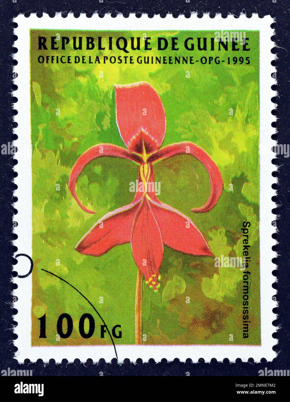 Cancelled postage stamp printed by Guinea, that shows Sprekelia formosissima - Aztec Lily flower, circa 1995. Stock Photo