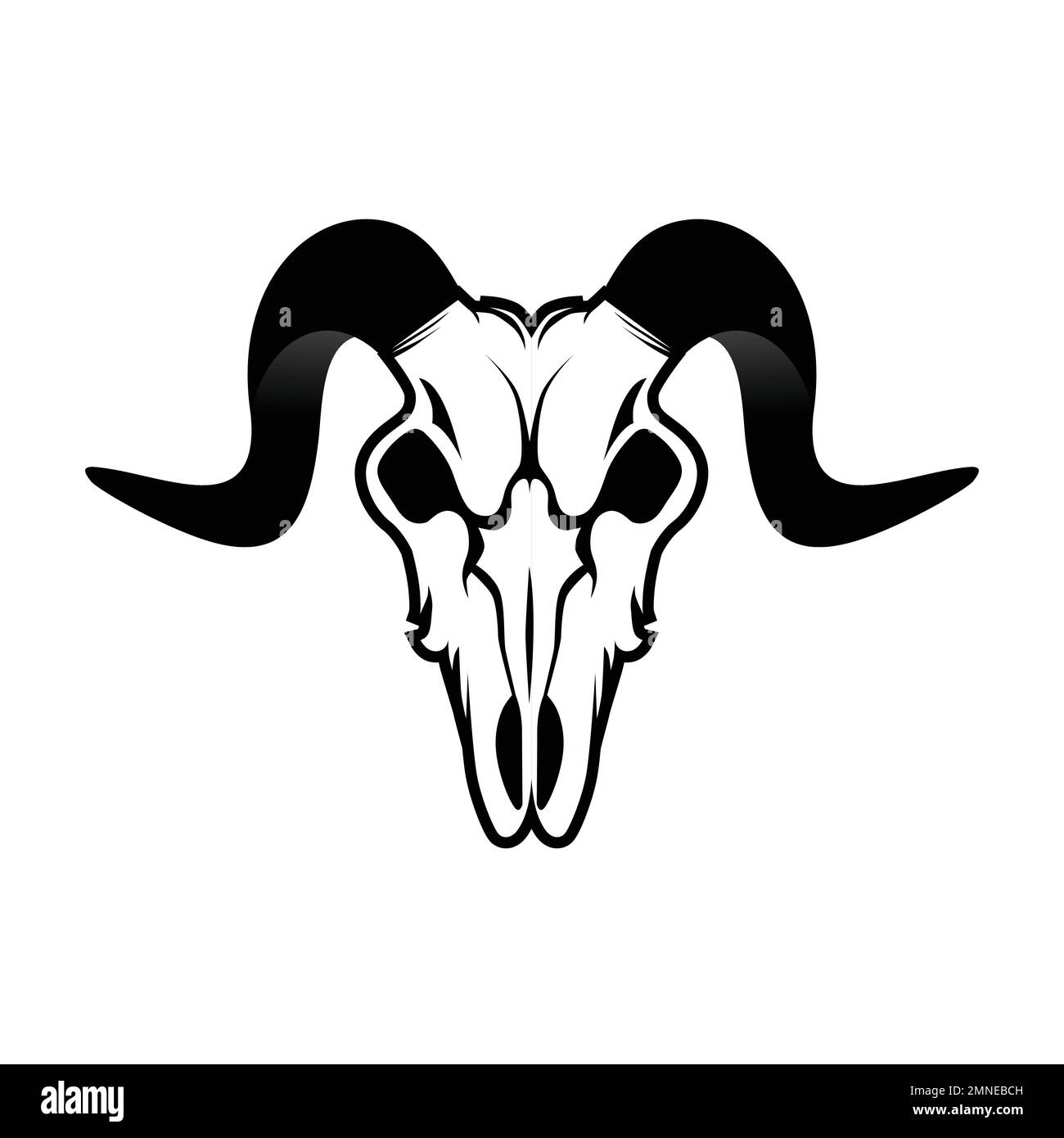 Mountain goat skull with black horns on white background Stock Vector