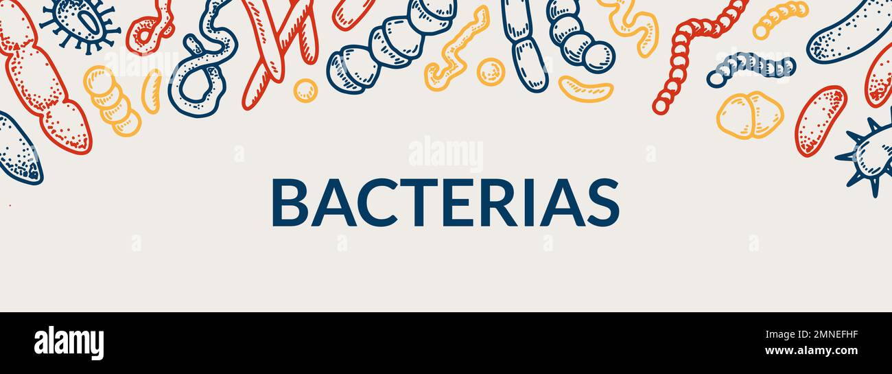 Bacteria horizontal design. Hand drawn vector illustration in sketch style Stock Vector