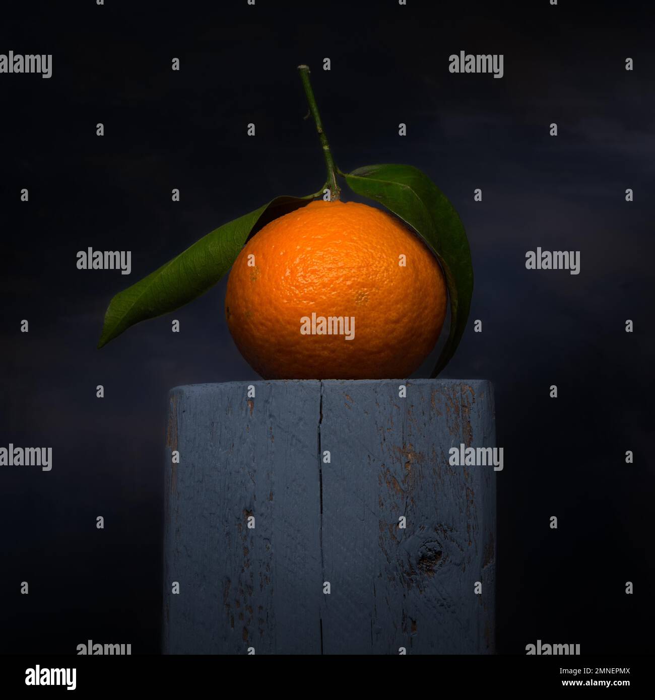 https://c8.alamy.com/comp/2MNEPMX/still-life-with-tangerine-on-wooden-block-studio-shot-dark-background-2MNEPMX.jpg