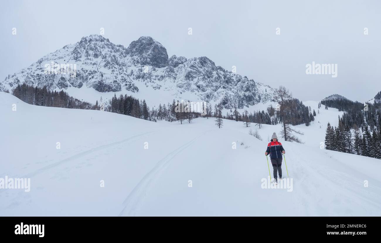 Winter landscape, snowshoe hiker in front of snowcovered peak of Bosruck massif, Ardningalm