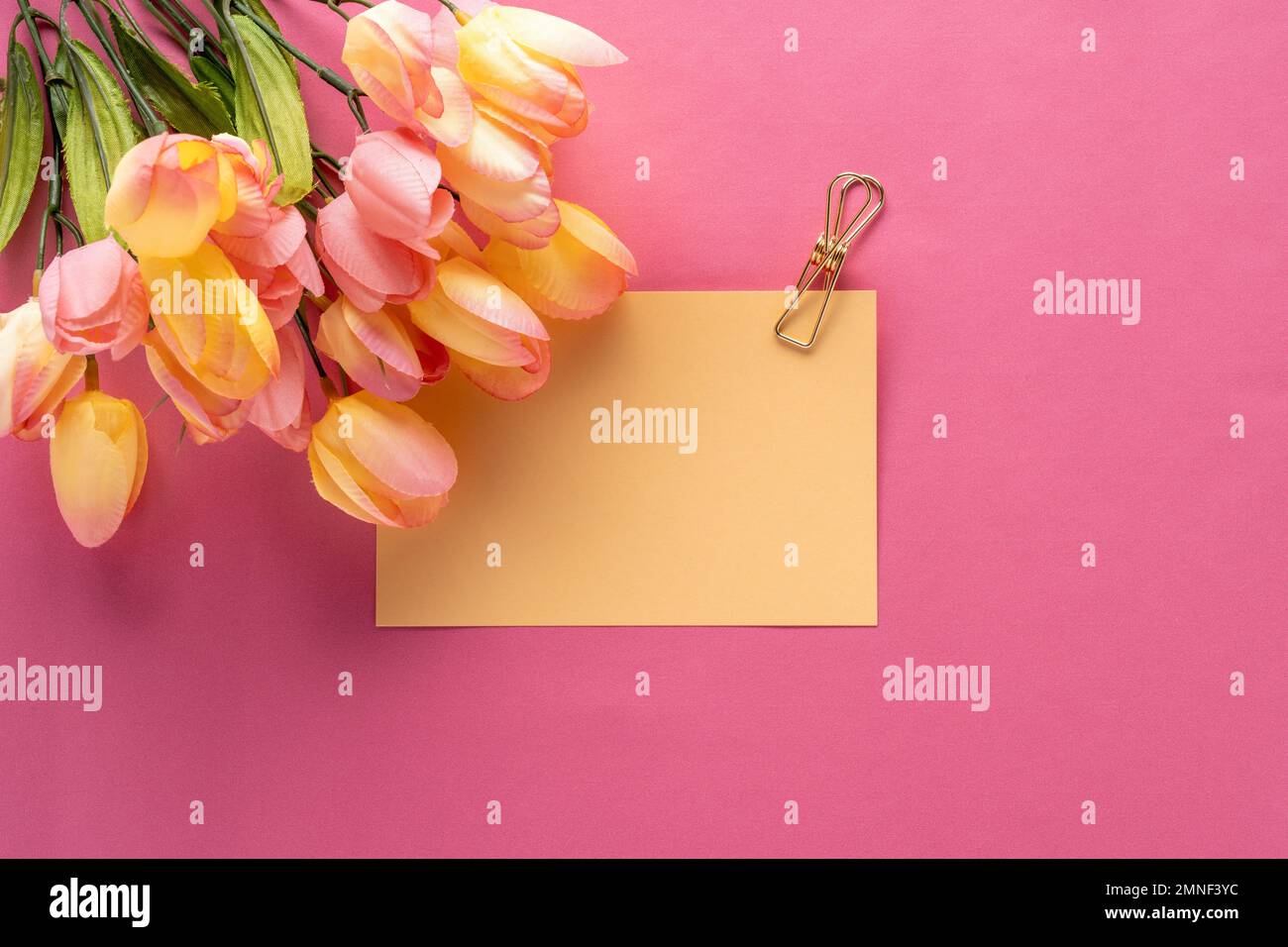 Springtime concept with yellow and pink tulips, a yellow notecard held by a gold paperclip laying on a pink background. Empty space for quote or messa Stock Photo