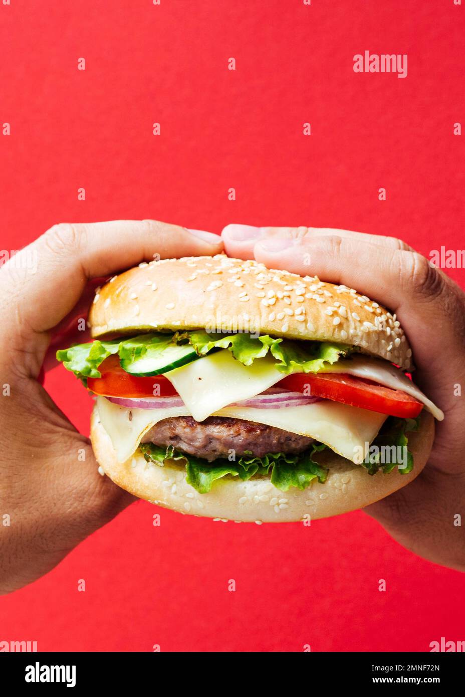 burger with onion cheese red background. Beautiful photo Stock Photo
