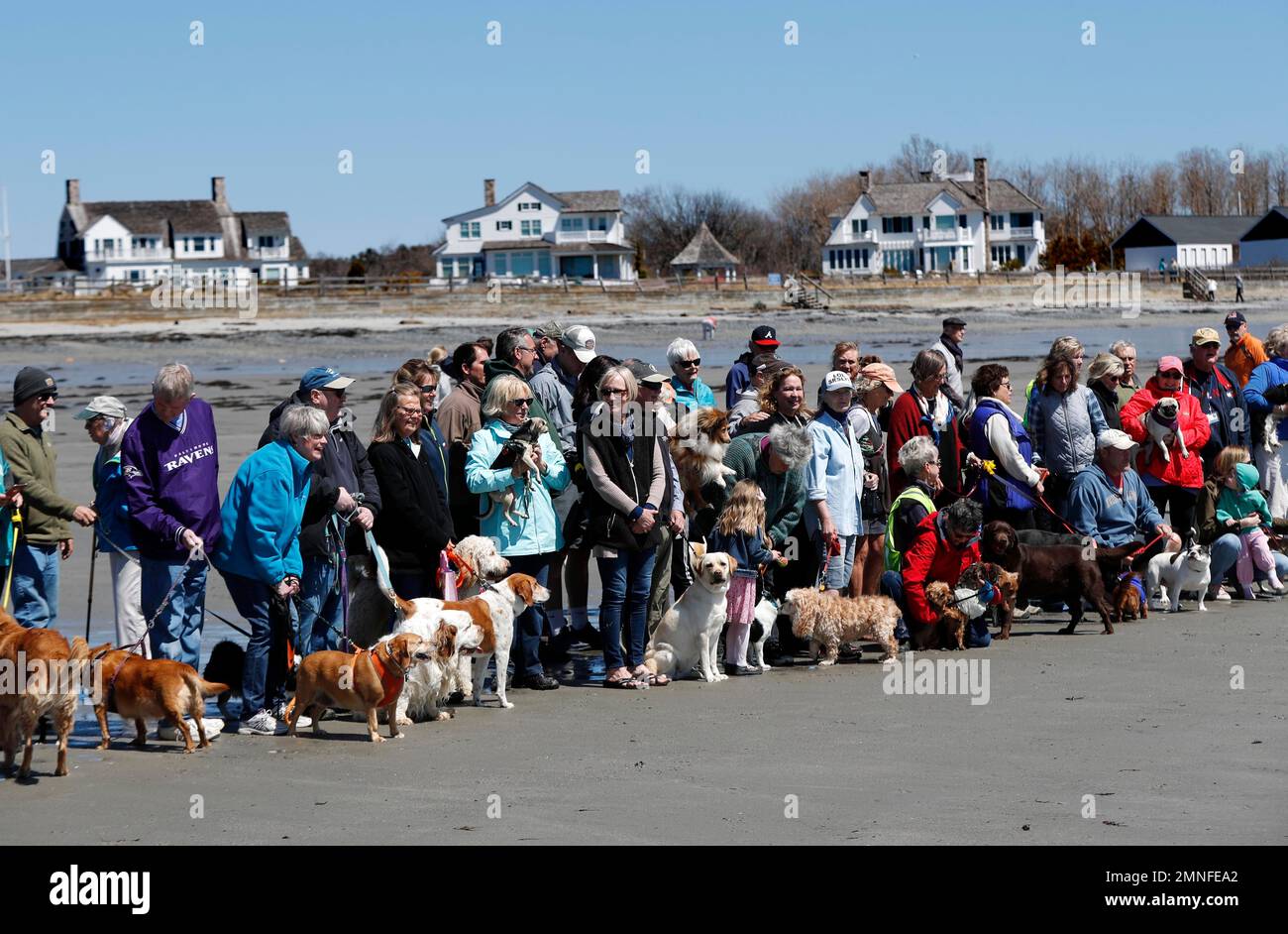 Dog walkers gather to remember former first lady Barbara Bush at Gooch