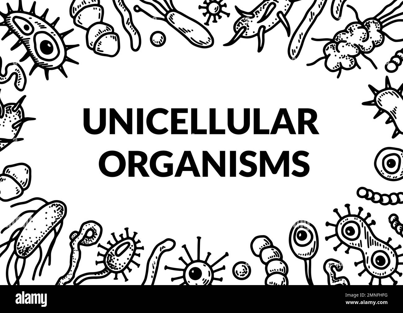 Microscopic unicellular organisms design. Scientific biology vector illustration in sketch style Stock Vector