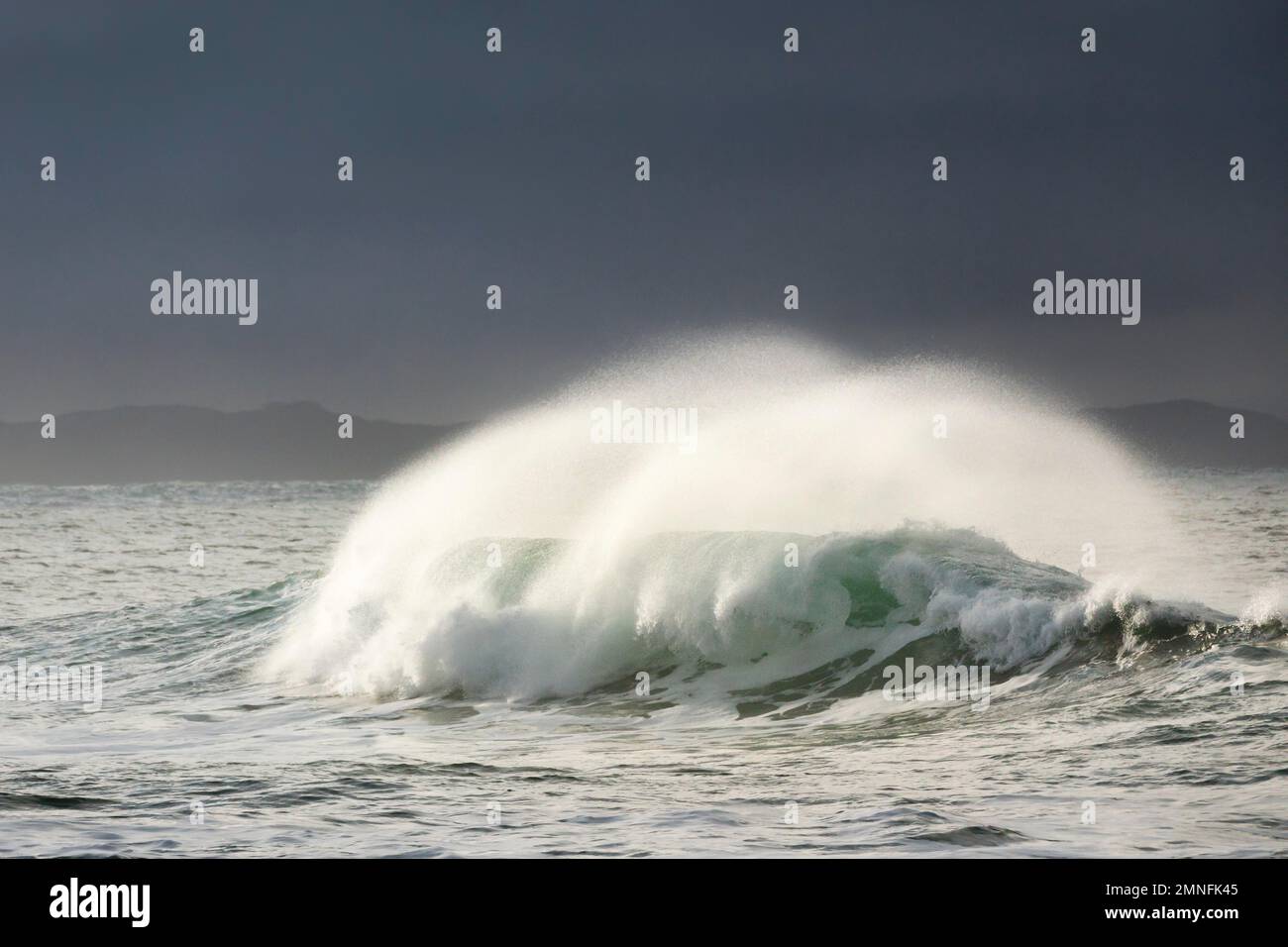 Big wave breaks in winter storm in open sea and dramatic light off north coast of Ireland, Fintra Beach in County Donegal Stock Photo