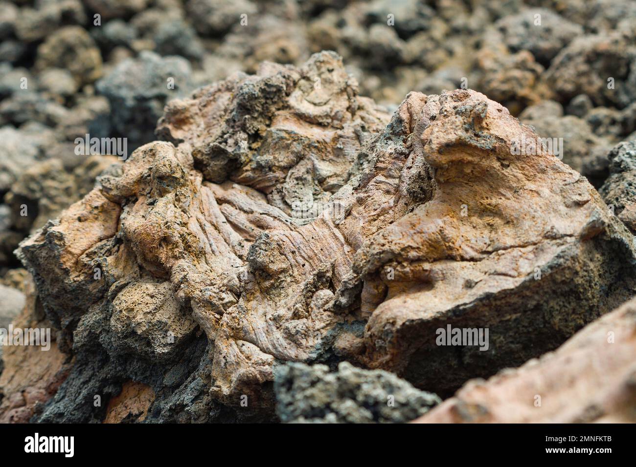 Detail of the volcanic rock by the sea in Lanzarote Stock Photo