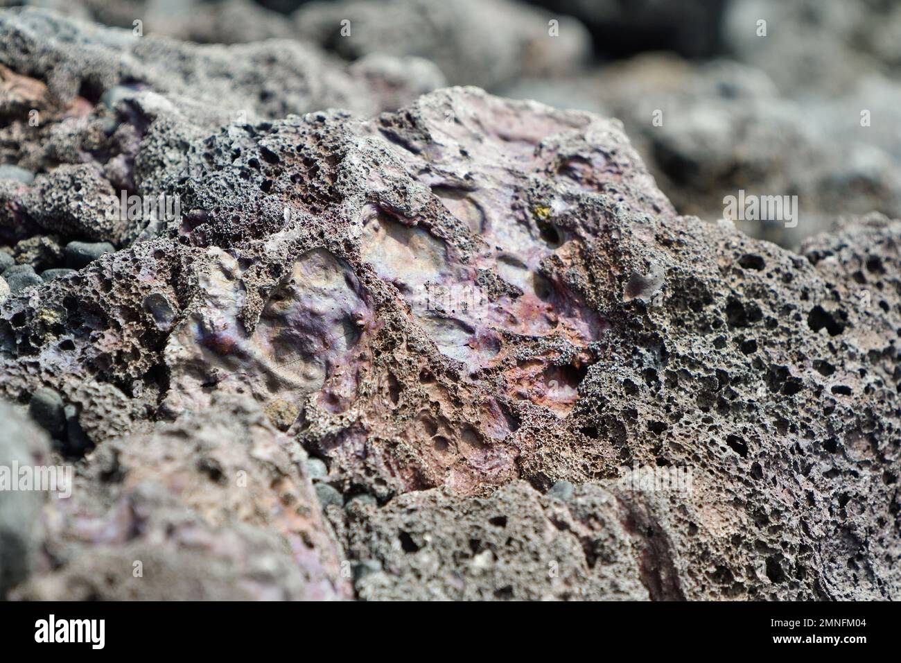 Detail of the volcanic rock by the sea in Lanzarote Stock Photo