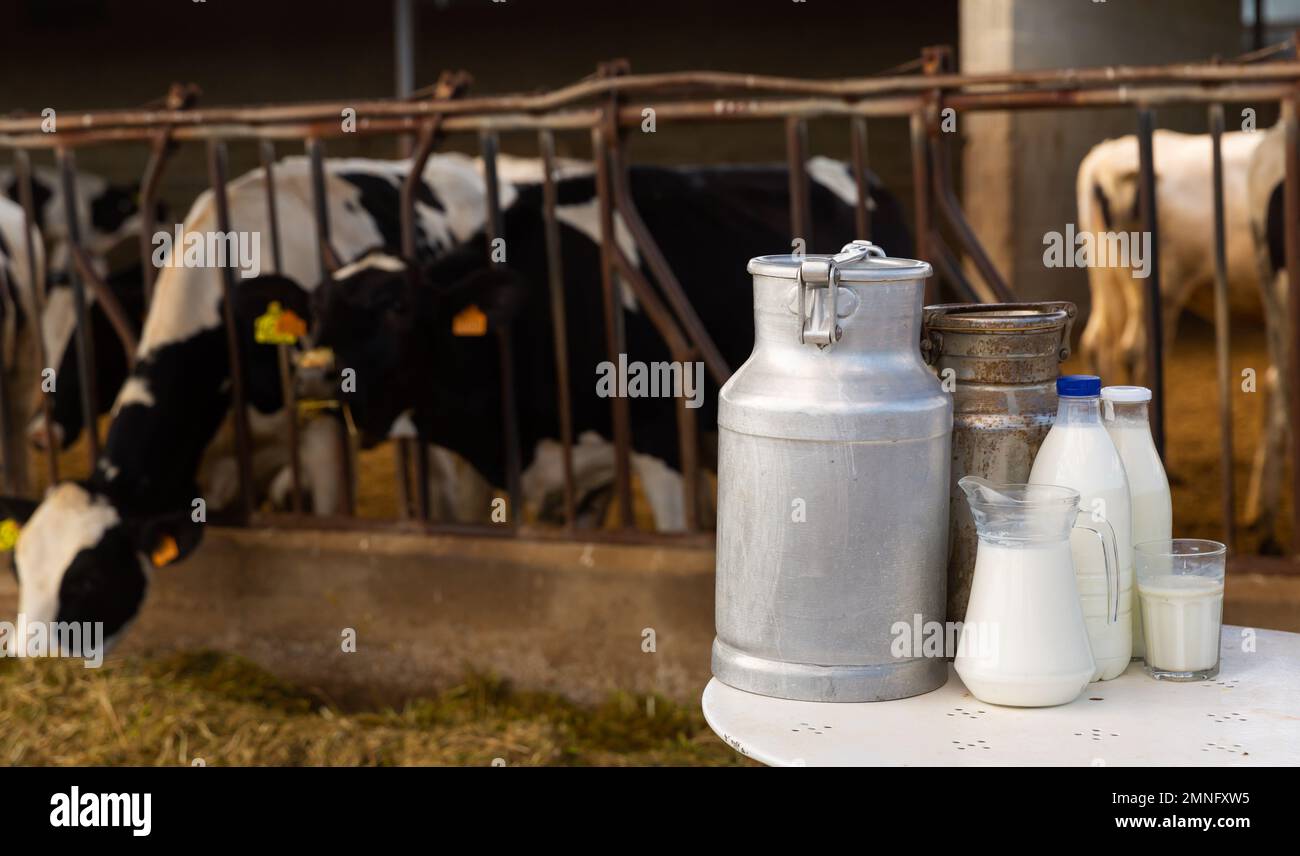 Composition of dairy products on table Stock Photo Alamy