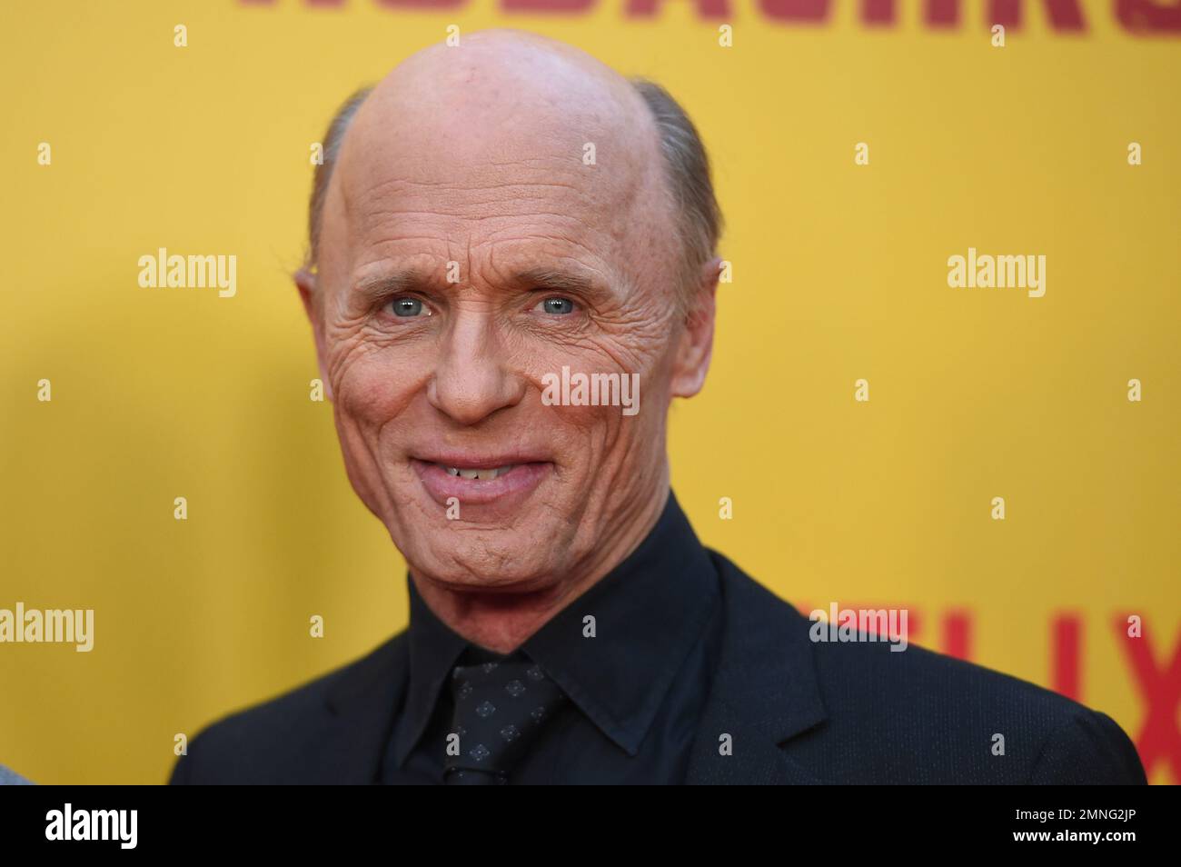Cast member Ed Harris arrives at the Los Angeles premiere of