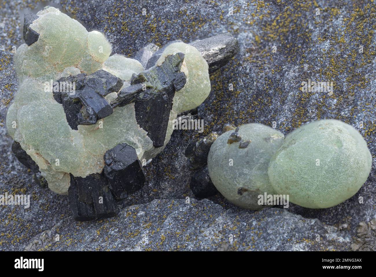 prehnite mineral specimen stone, rock geology, mineral collection Stock Photo