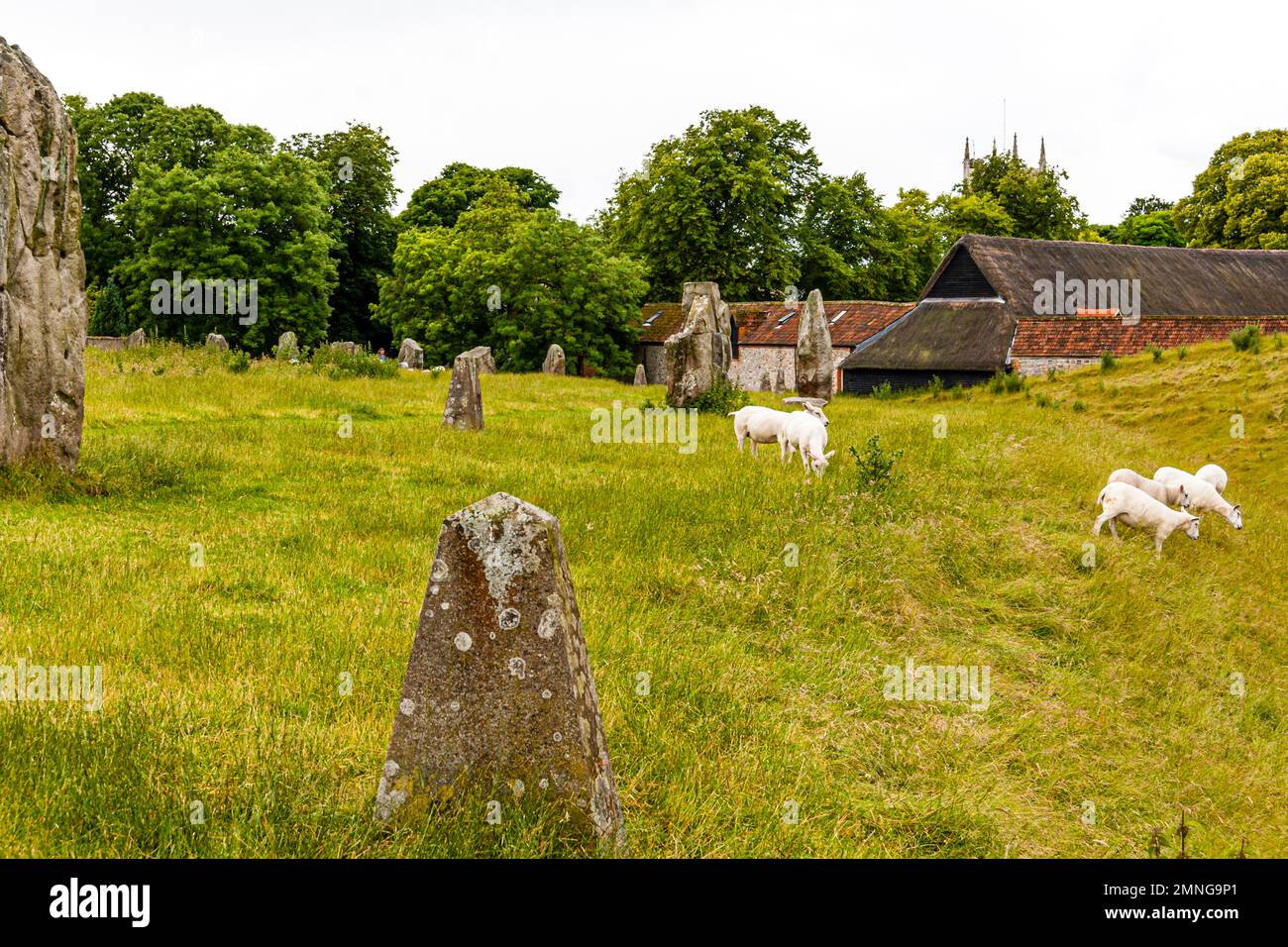 The stone circle of Avebury is one of the largest stone circles in the British Isles. Its origin is dated to 2,600 BC. Originally it consisted of more than 600 stones. Over the millennia, this was partially removed by the landowners or used for house building. Avebury, Marlborough, England Stock Photo