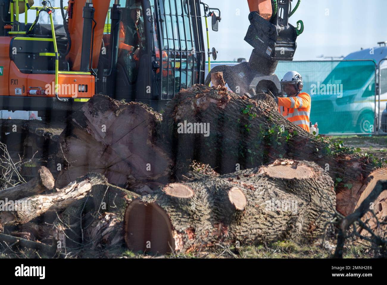 Hartwell, Aylesbury, UK. 30th January, 2023. HS2 have felled another