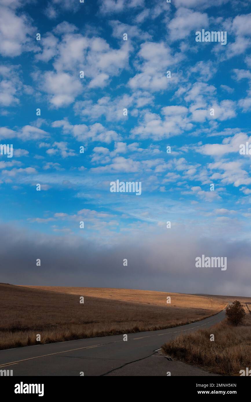 Sun beam across a prairie hillside, blue sky dotted with white clouds
