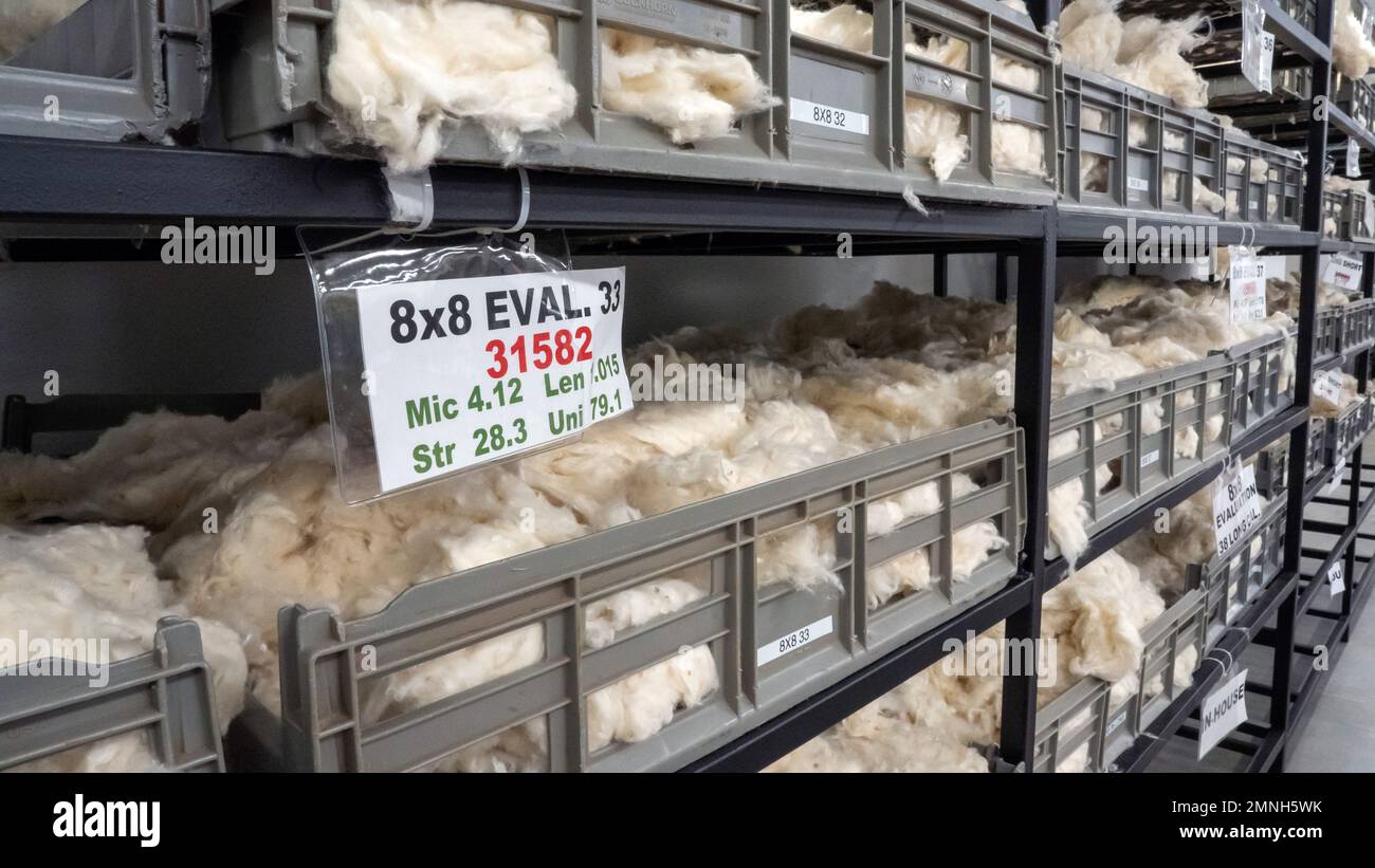 Interior of a U.S. Department of Agriculture, Agricultural Marketing Service, Cotton Grading