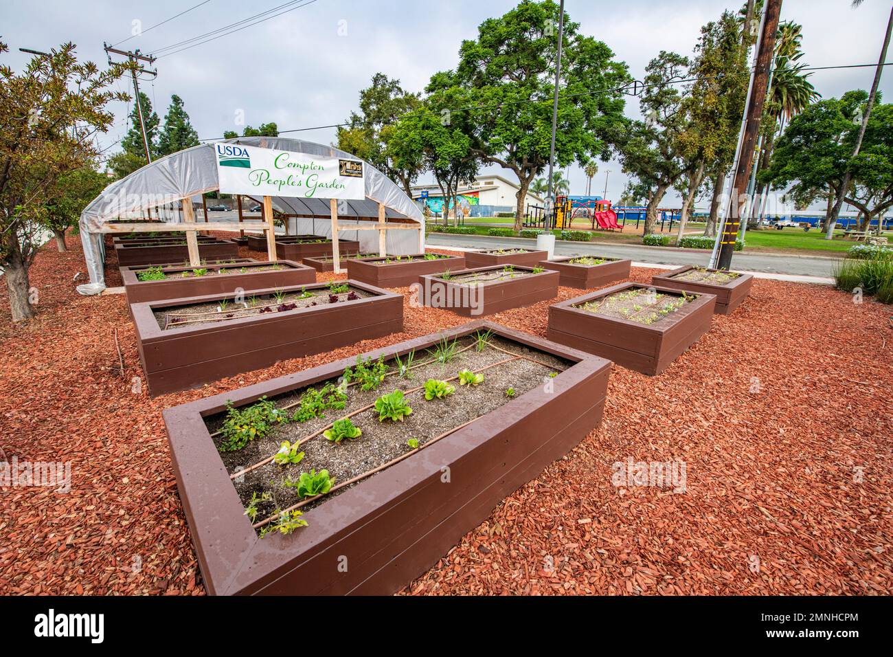 The U.S. Department of Agriculture’s USDA newest People’s Garden in Compton, California ca. 2022 Stock Photo