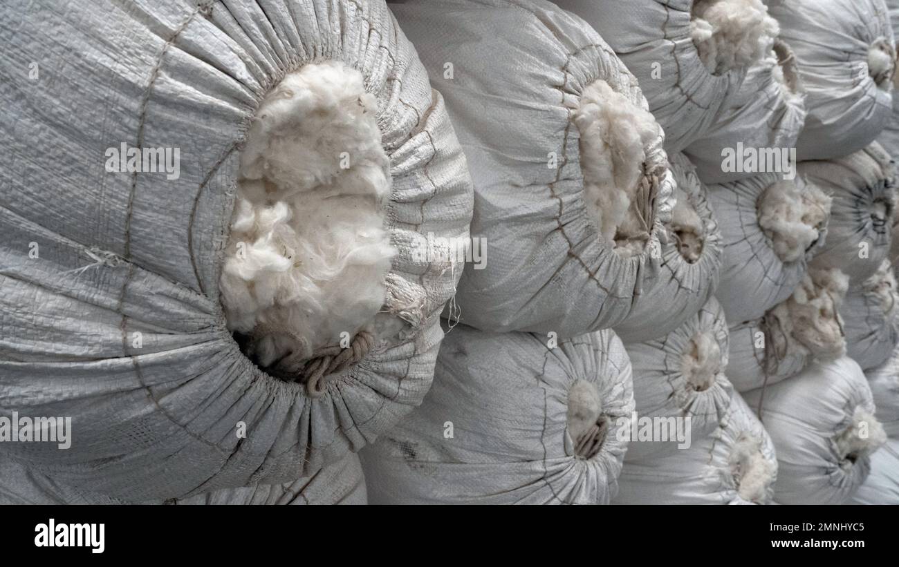 Interior of a U.S. Department of Agriculture, Agricultural Marketing Service, Cotton Grading