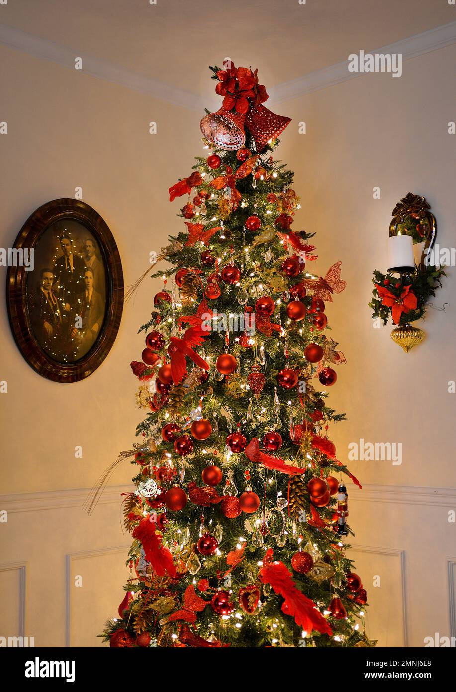 Decorated Christmas Tree in Corner of Room Stock Photo Alamy