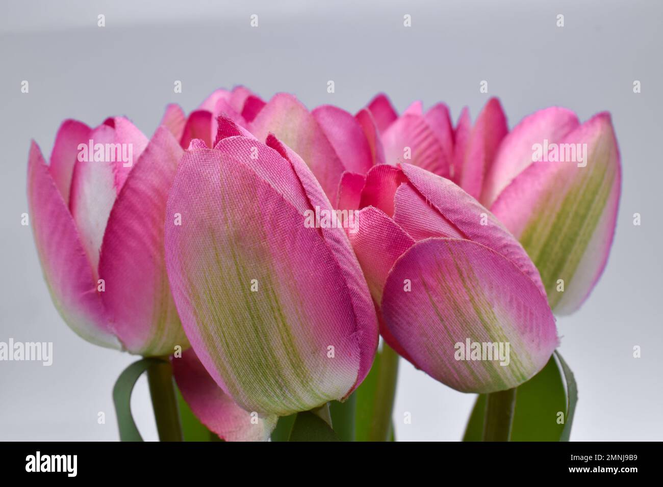Plastic pink tulip flowers in glass vase isolated on white background ...