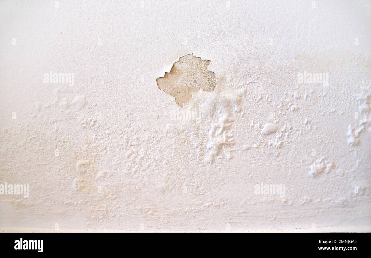 Rain water leaks on the wall causing damage and peeling paint Stock Photo - Alamy