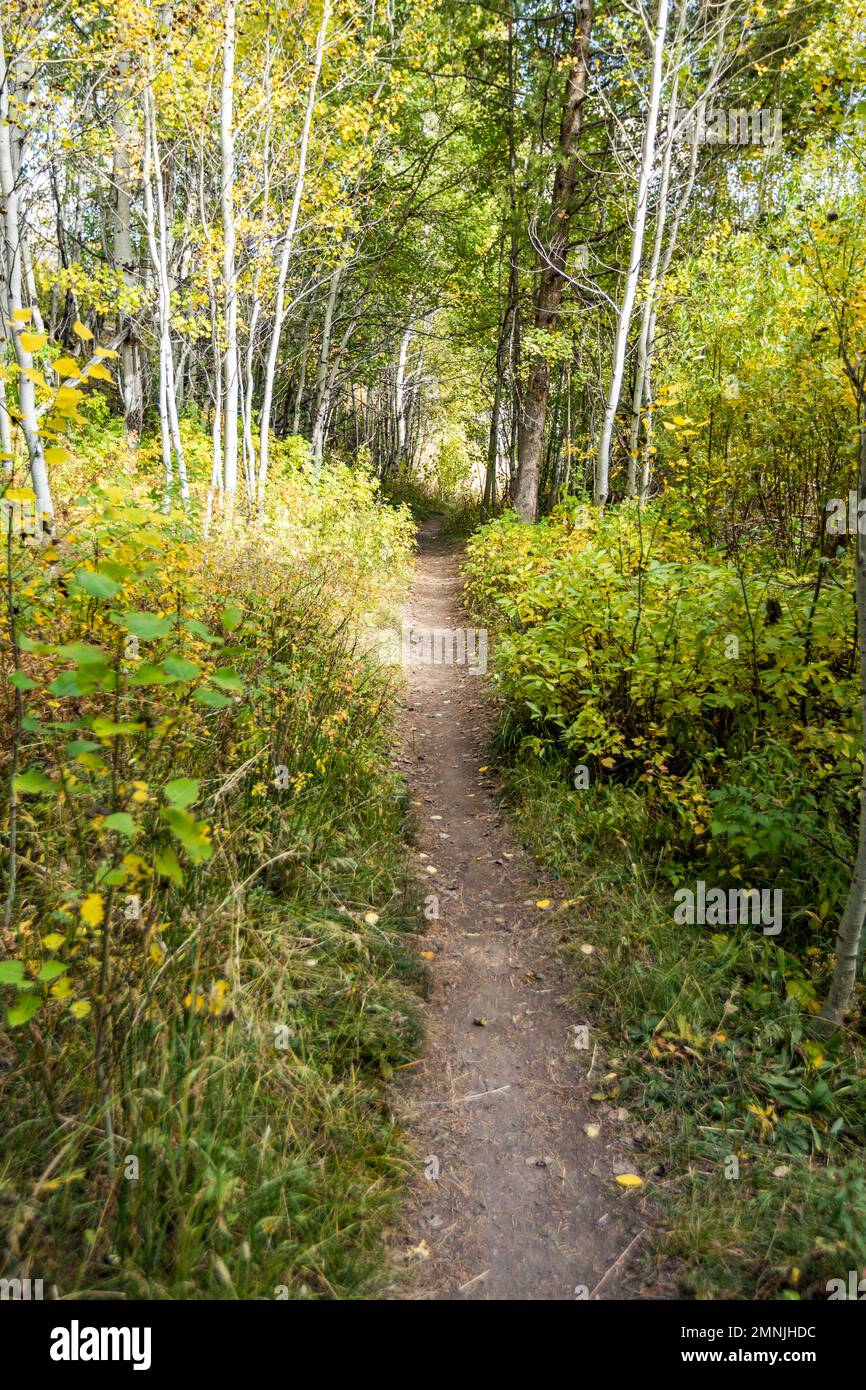 Ketchum hires stock photography and images Alamy