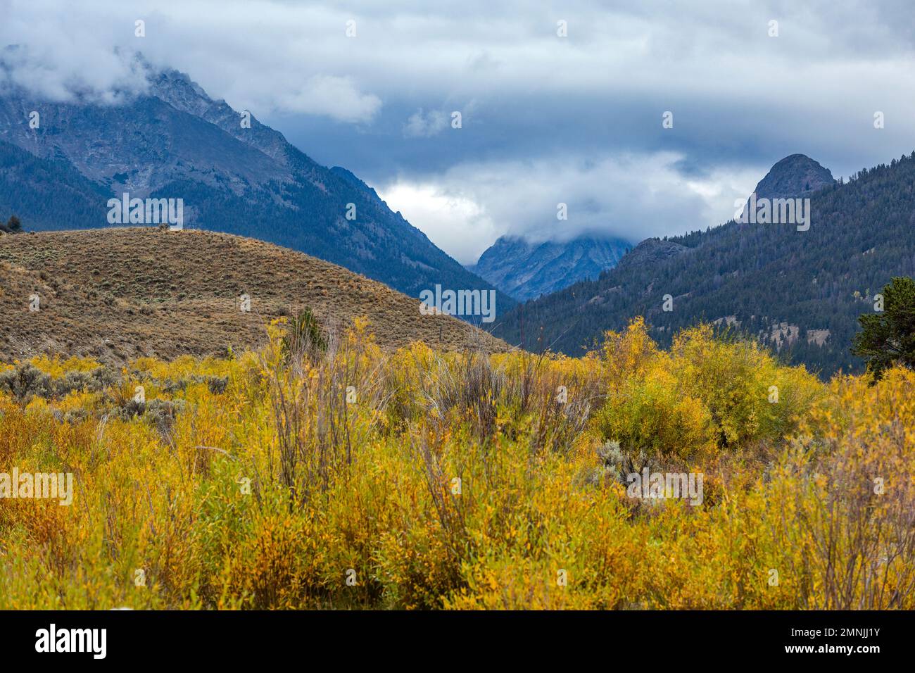 USA, Idaho, Sun Valley, Fall foliage and storm clouds in wilderness Stock Photo