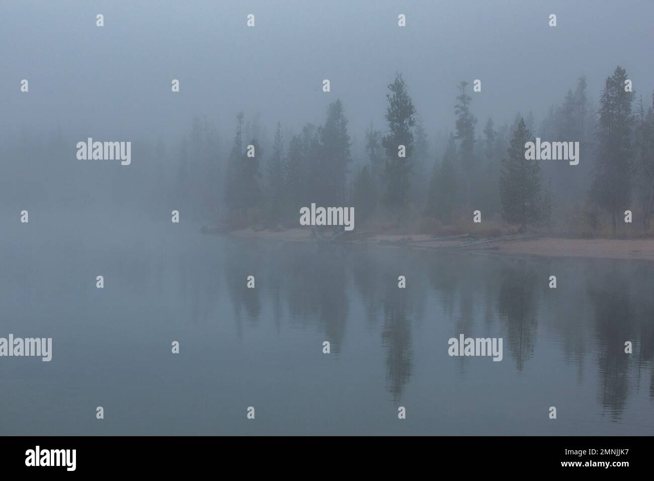 Foggy day lake trees in hi-res stock photography and images - Alamy