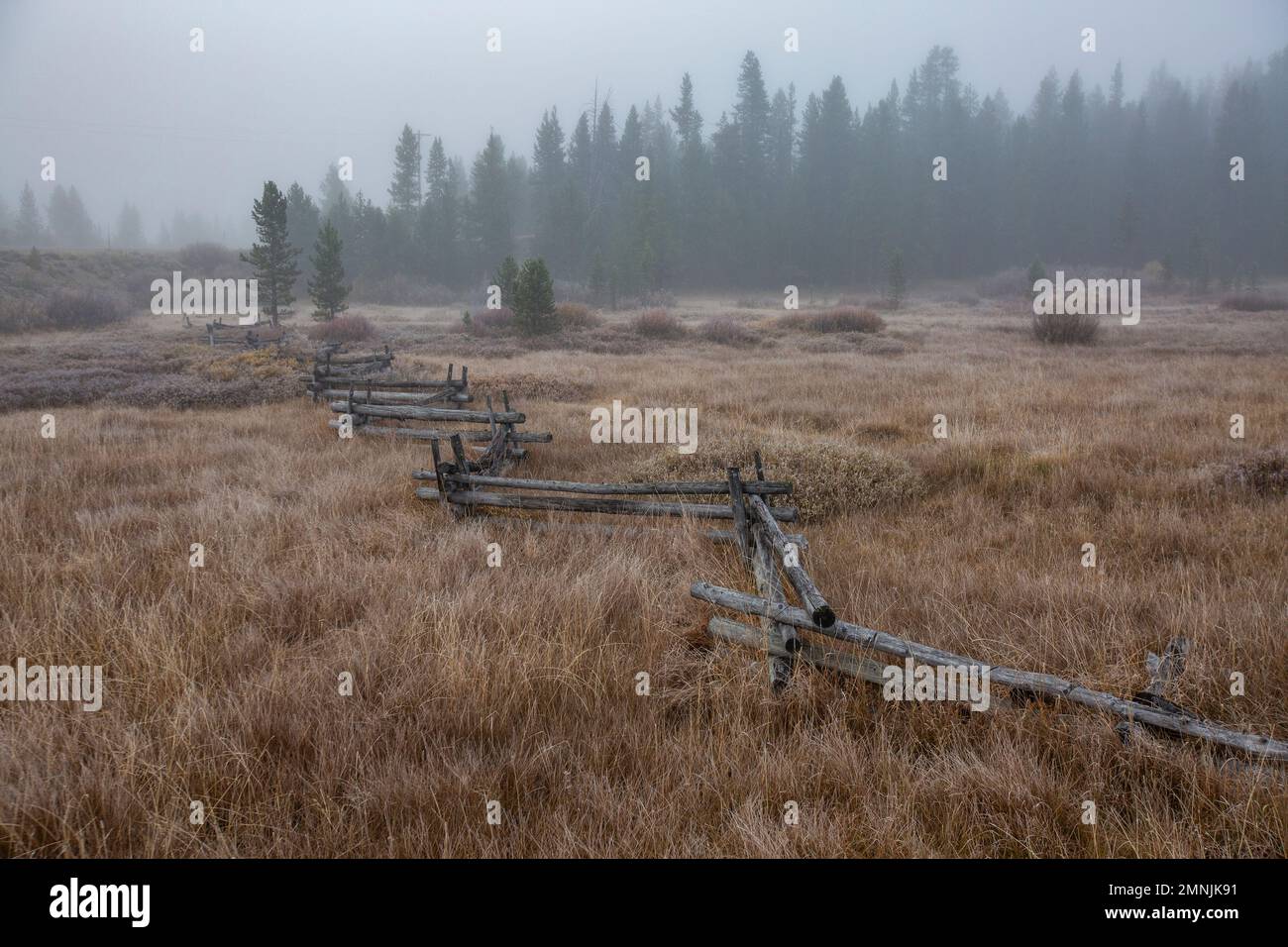 USA, Idaho, Stanley, Rural scene with rail fence and forest Stock Photo