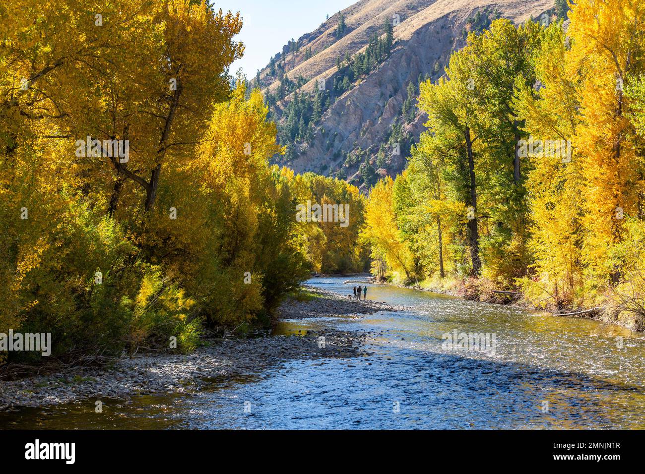 USA, Idaho, Hailey, Distant view of family admires fall along river in autumn Stock Photo