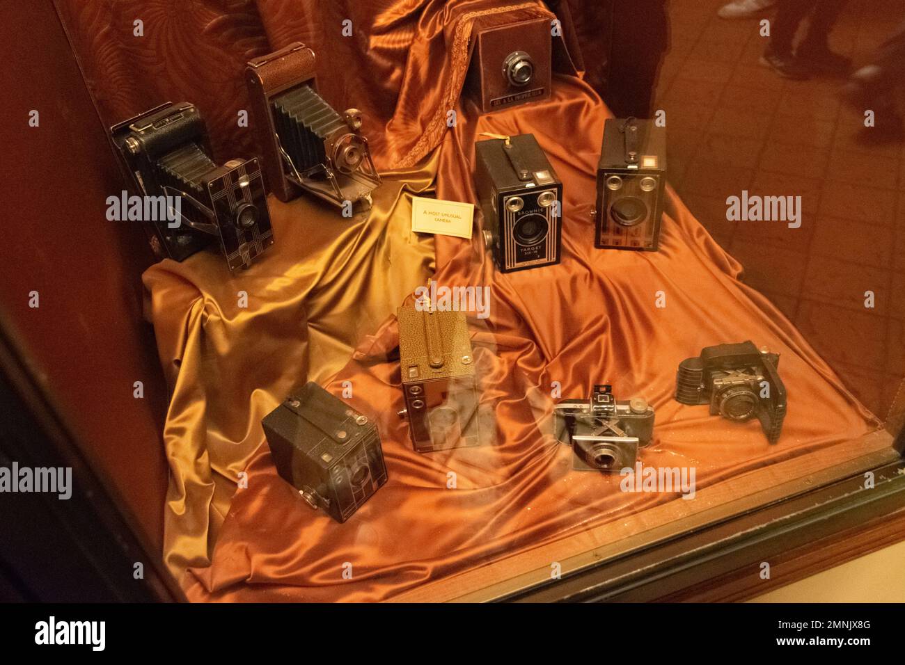 Disneyland Paris Old photo Cameras exposition at Hollywood tower hotel