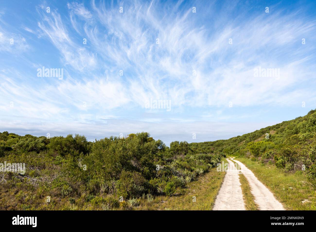 South Africa, Stanford, Dirt road and green foliage under blue sky Stock Photo