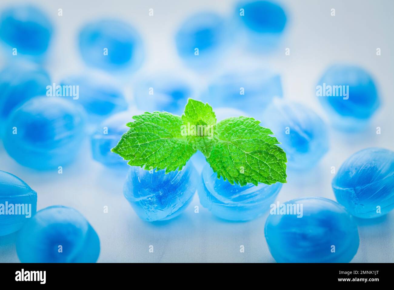 Blue menthol  fresh balsamic syrup with mint leaves on a white background. Stock Photo