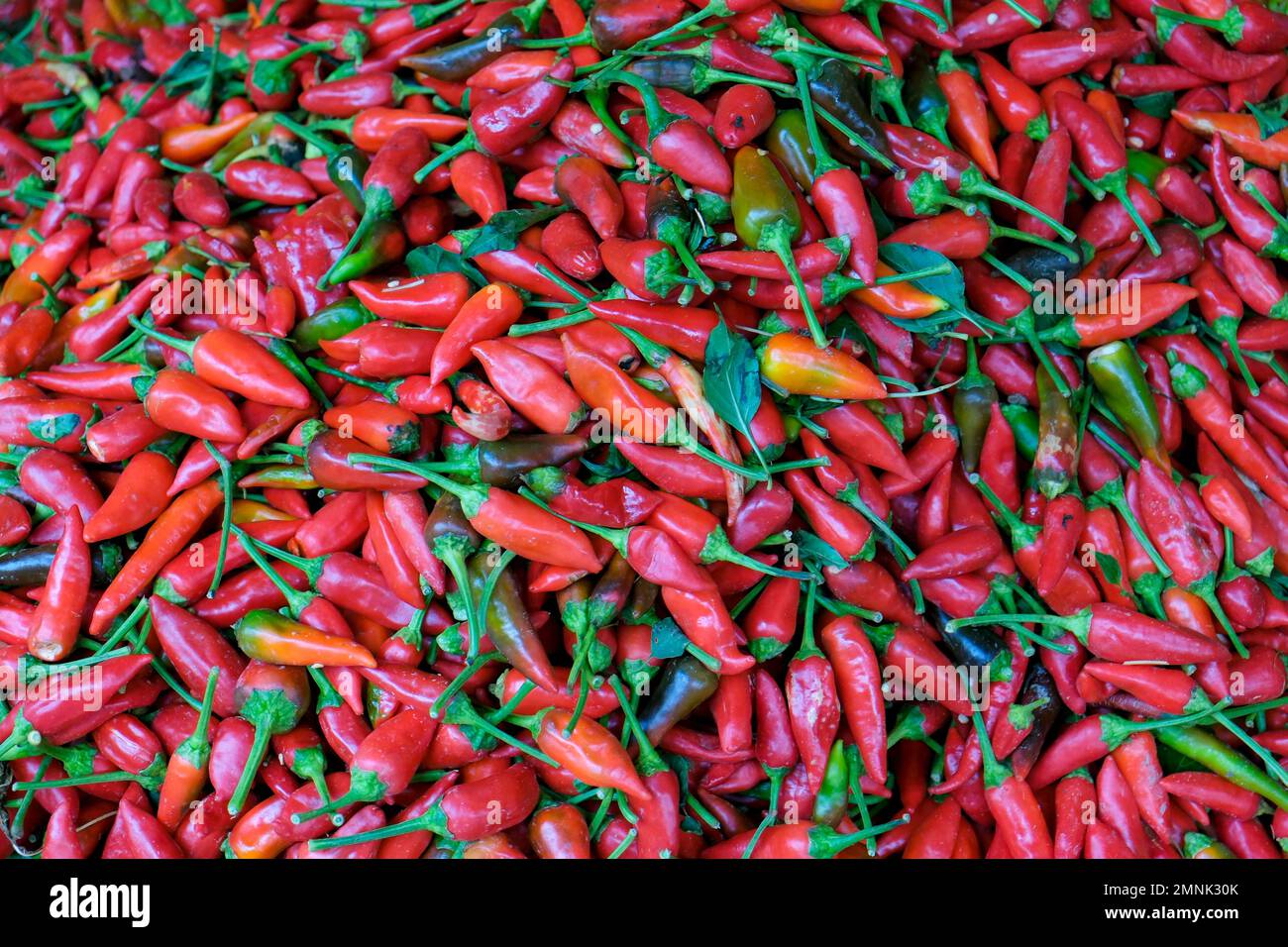 Heap of red hot chili peppers Stock Photo