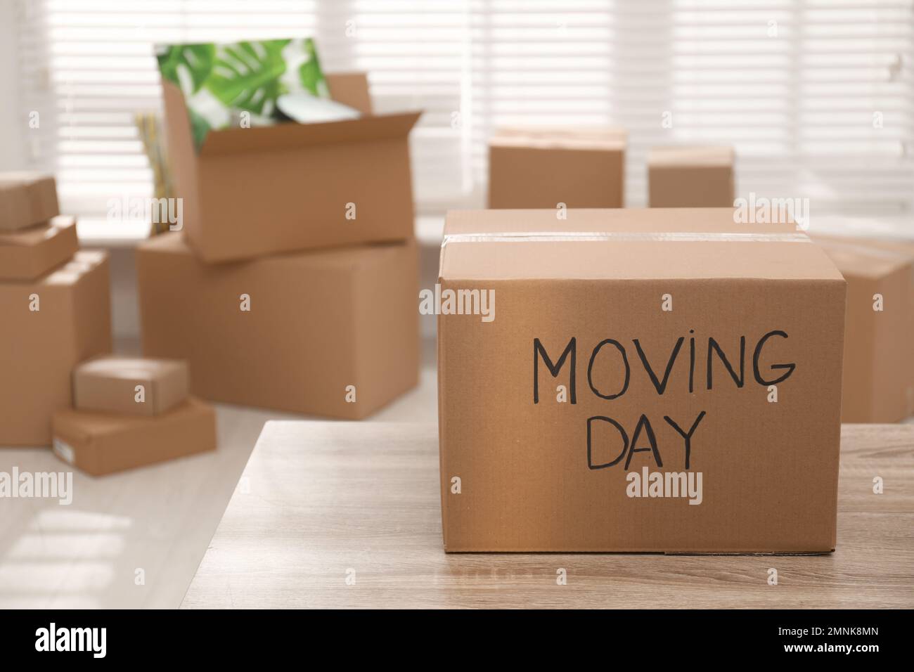 Cardboard words hi-res stock photography and images - Alamy