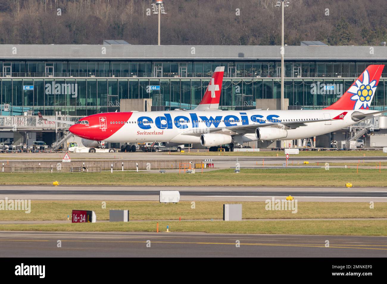Zurich, Switzerland, January 19, 2023 Edelweiss Airbus A340-313X is taxiing to its position Stock Photo