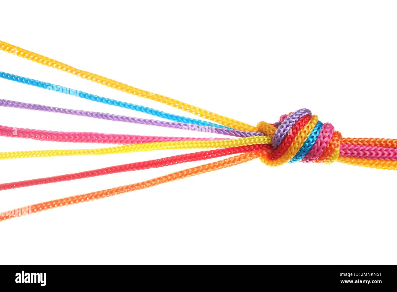Colorful ropes tied together with knot isolated on white. Unity concept ...