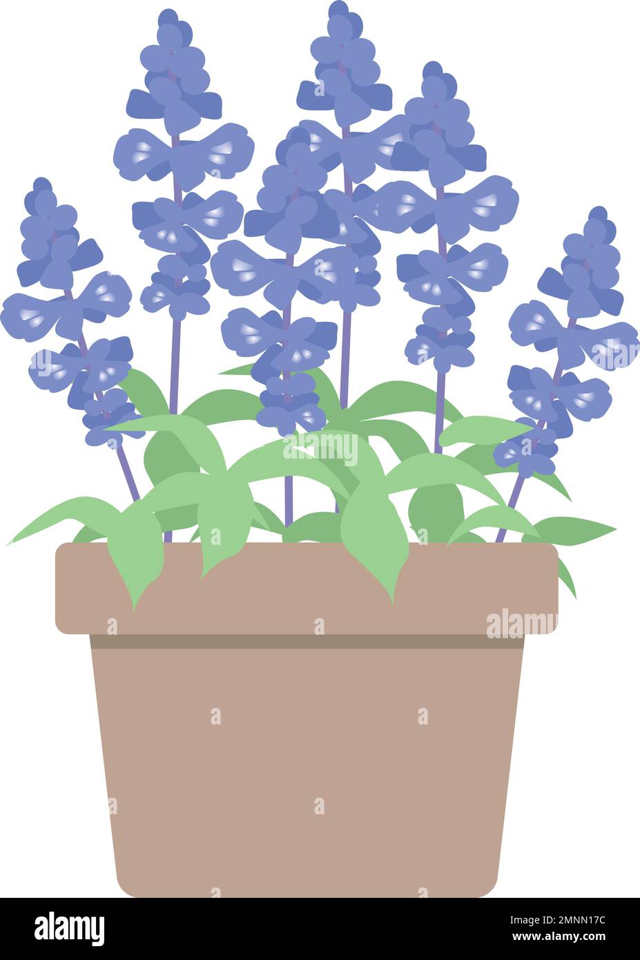 Blue salvia pot. Cute flat design.  Pretty blue flower. Stock Vector