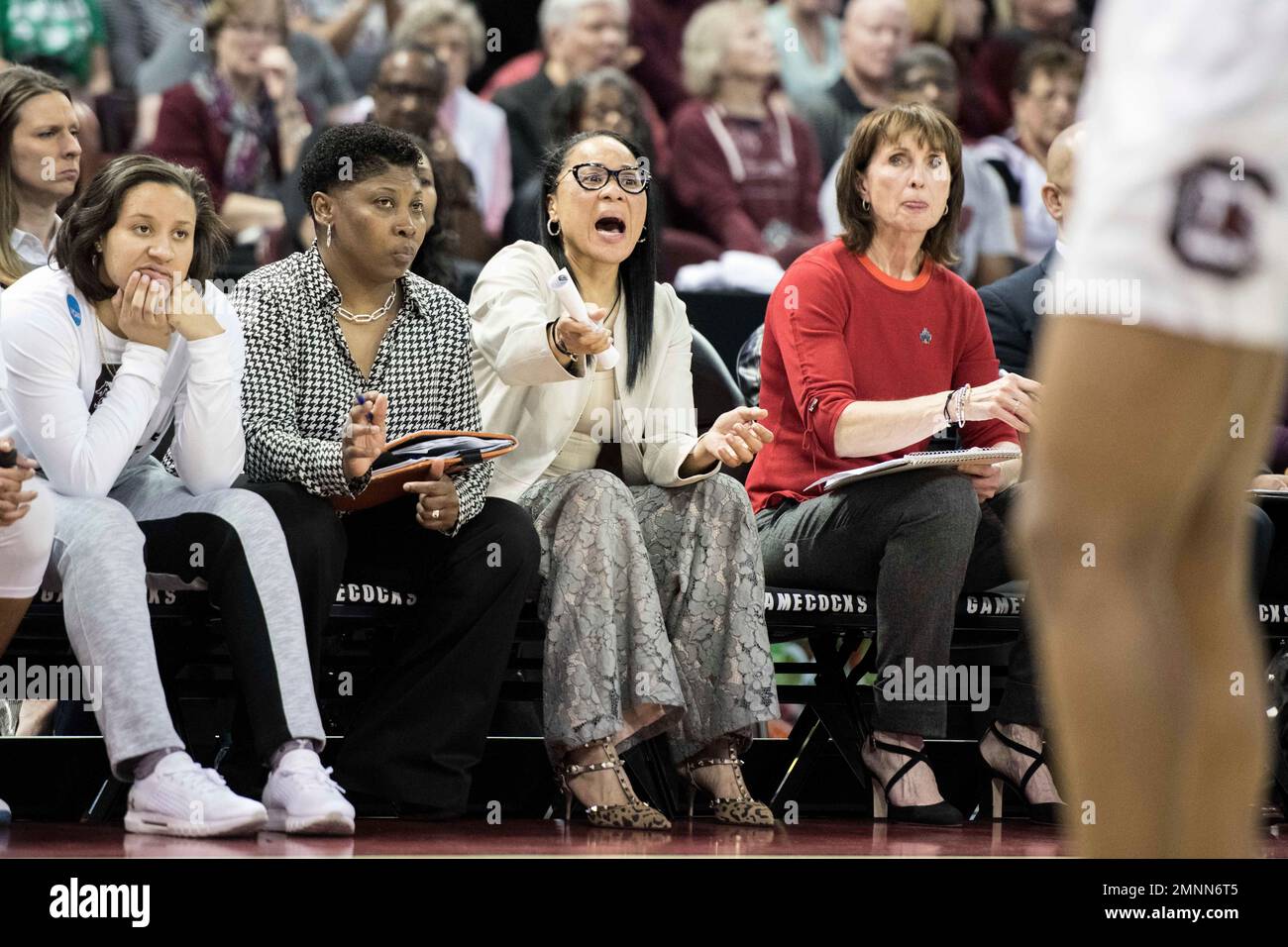 South Carolina head coach Dawn Staley, second from right, with ...