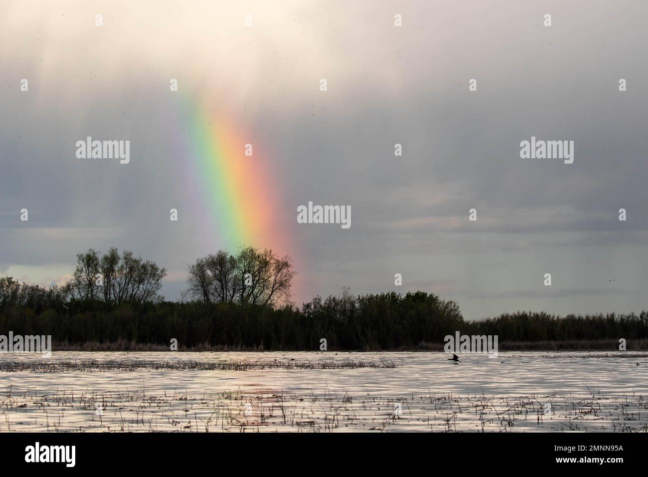 Rainbow Over Mud Lake, Idaho Stock Photo Alamy