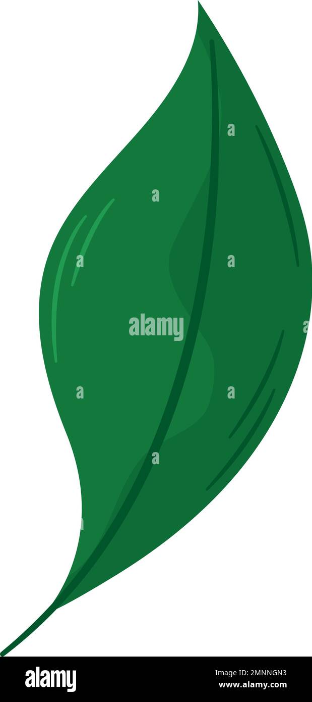Green Leaf Design Stock Vector Image Art Alamy Green Leaf Design Stock Vector Image Art Alamy