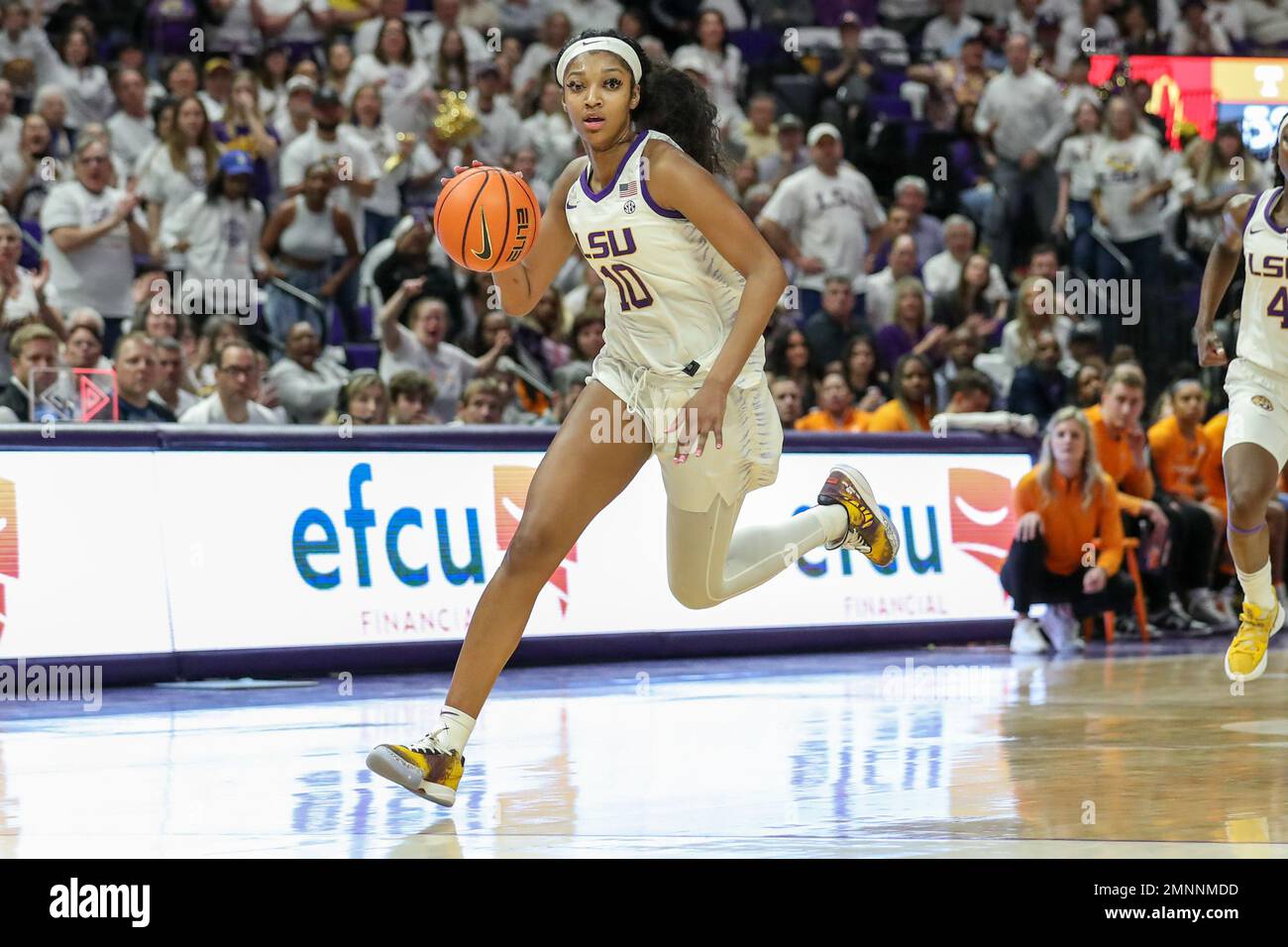 Baton Rouge, LA, USA. 30th Jan, 2023. LSU's Angel Reese (10) dribbles the ball up the court during NCAA Women's Basketball action between the Tennessee Volunteers and the LSU Tigers at the Pete Maravich Assembly Center in Baton Rouge, LA. Jonathan Mailhes/CSM/Alamy Live News Stock Photo