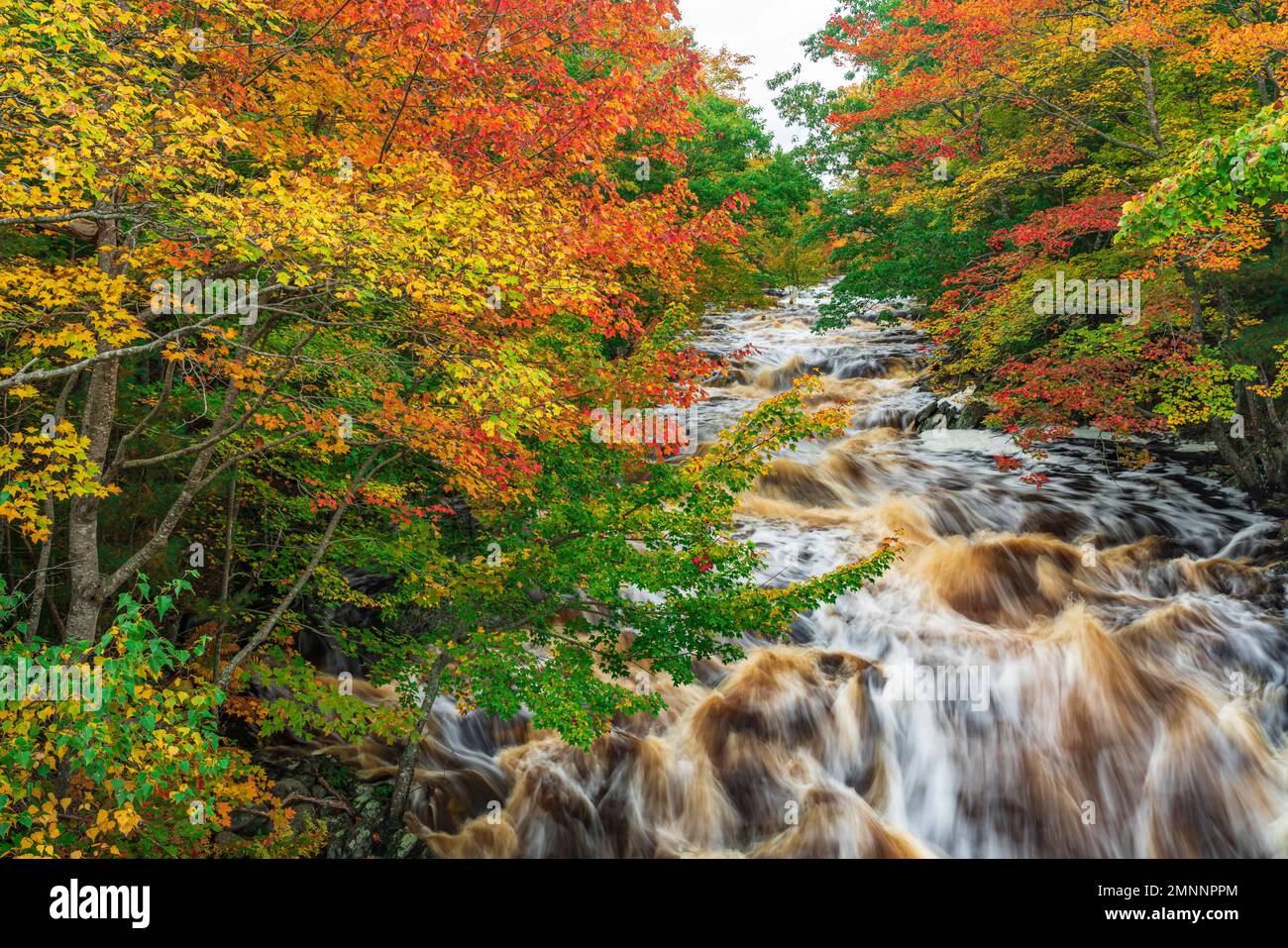 The Sable River with fall foliage color, Nova Scotia, Canada. Stock Photo