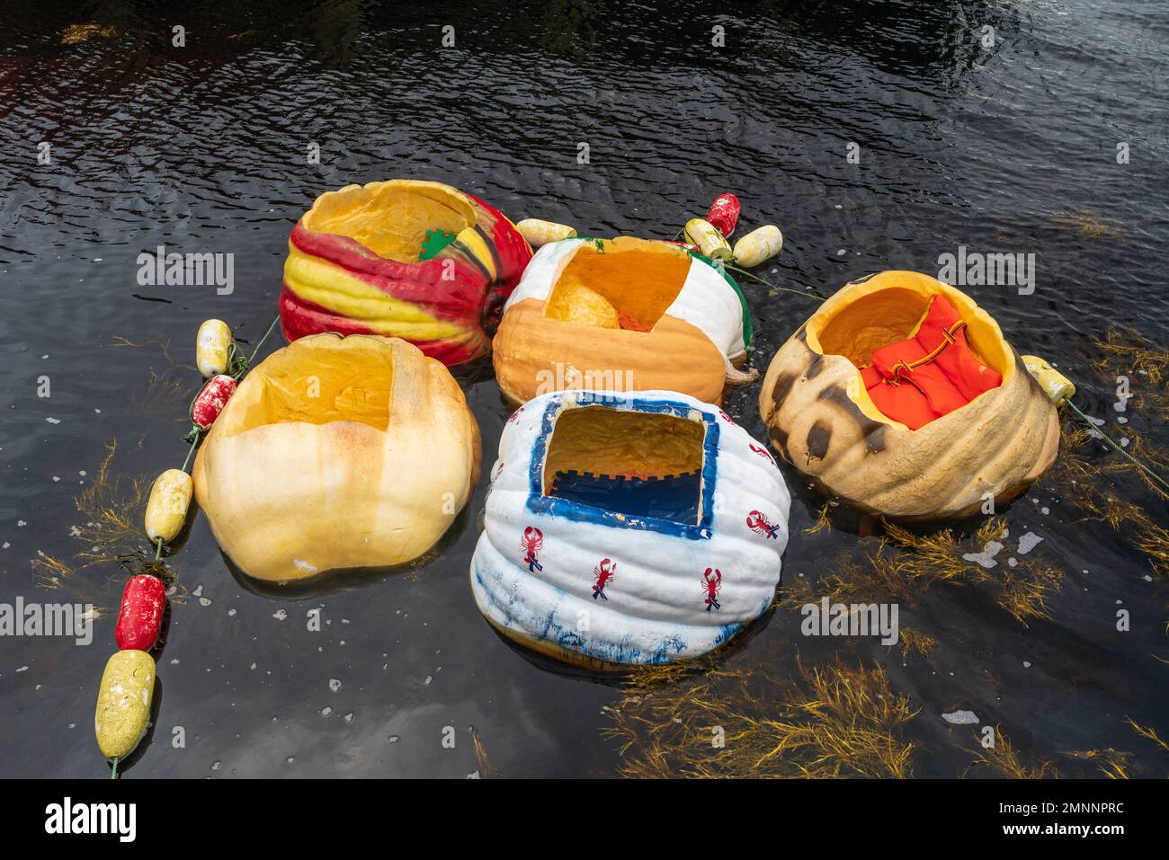 Pumpkin boats at the giant Pumpkin Festival in Shelburne, Nova Scotia