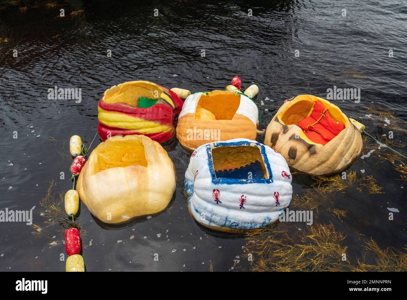 Pumpkin boats at the giant Pumpkin Festival in Shelburne, Nova Scotia