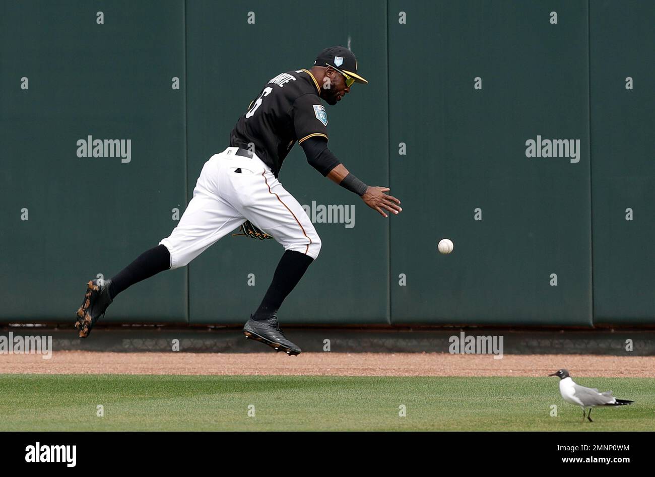 Milwaukee, USA. August 24, 2018: Pittsburgh Pirates center fielder Starling  Marte #6 along with the Brewer infielders watch the review challenge on the  jumbo screen of Martes stolen base in the 11th