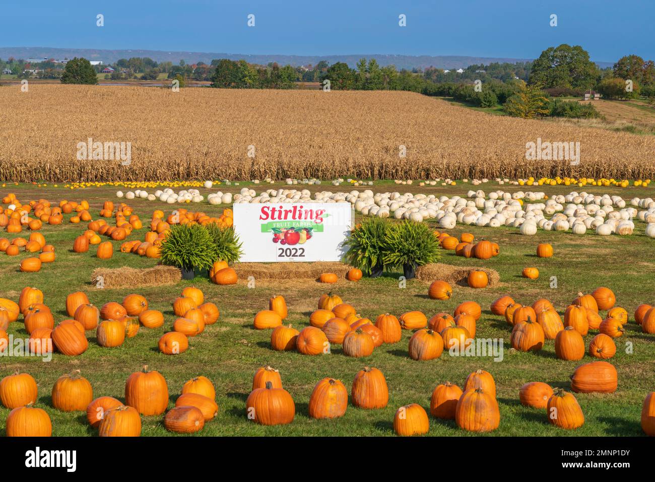 Stirling fruit farms hires stock photography and images Alamy