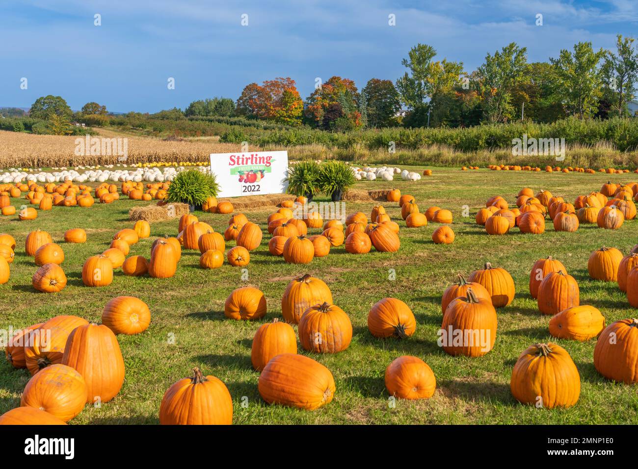 Wolfville nova scotia hires stock photography and images Alamy