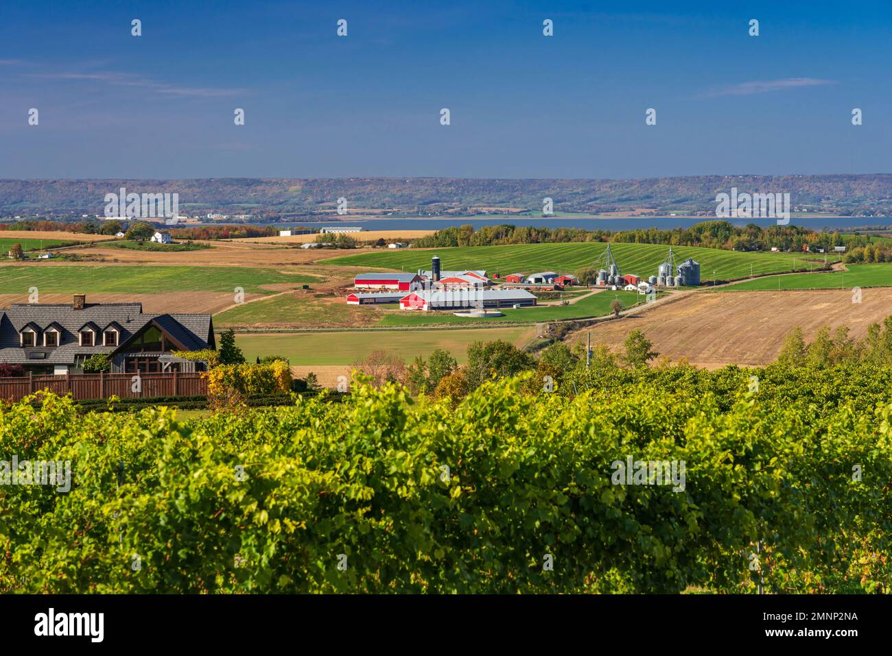 A large farm in the hills of the Annapolis Valley, Nova Scotia, Canada